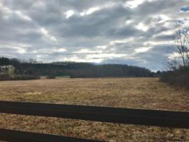411 CEDAR BLUFF RD