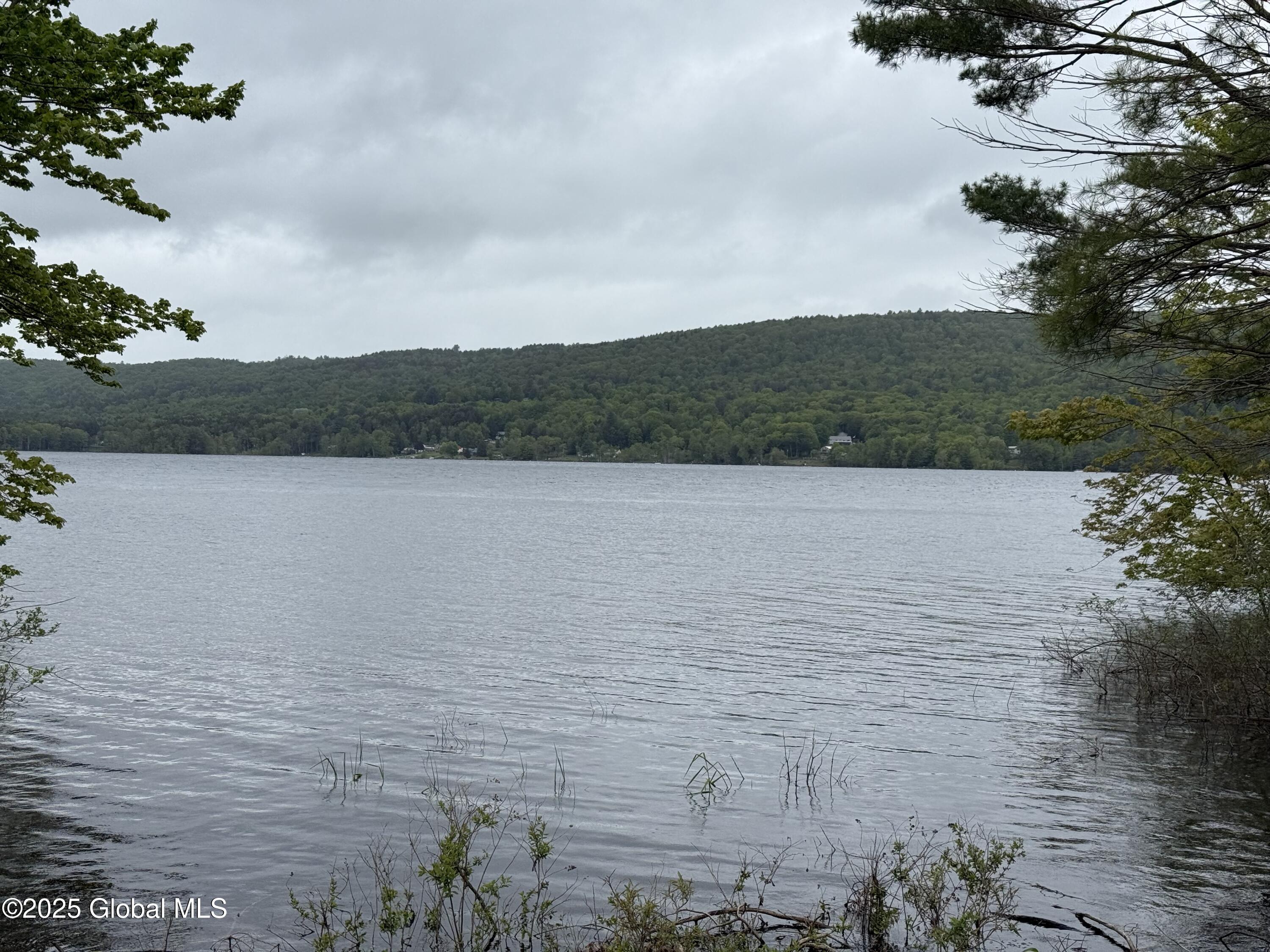Image 2: IMG_0971