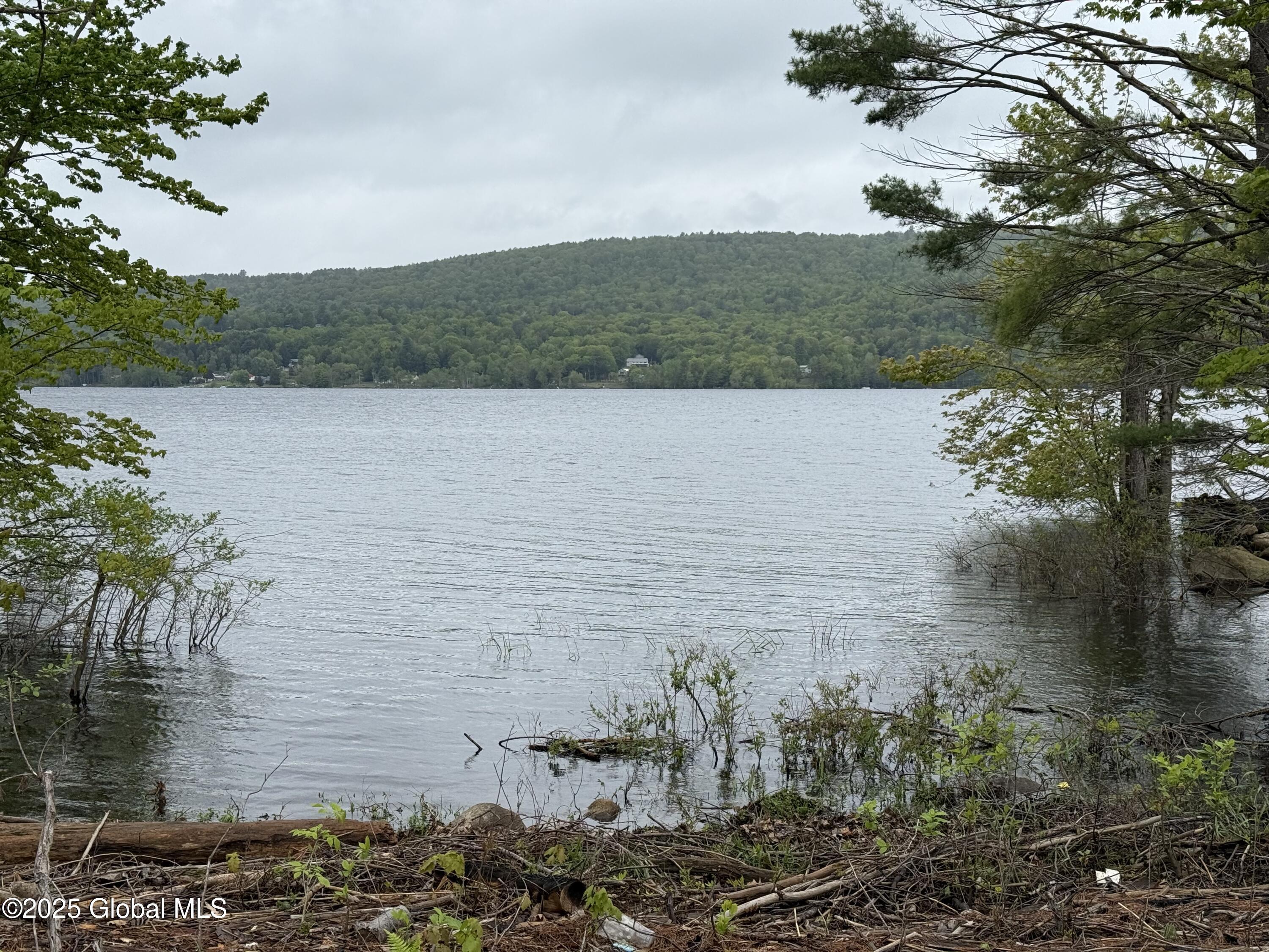 Image 3: IMG_0969