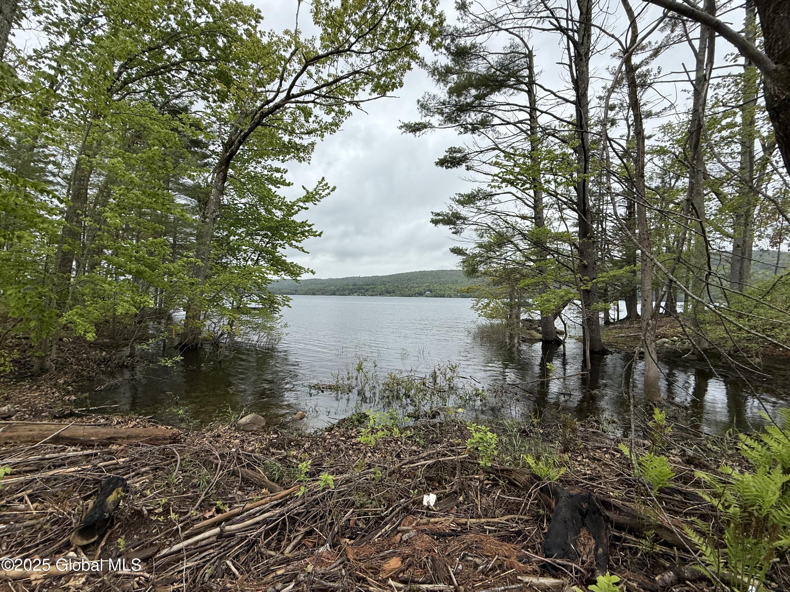 Image 4: IMG_0970