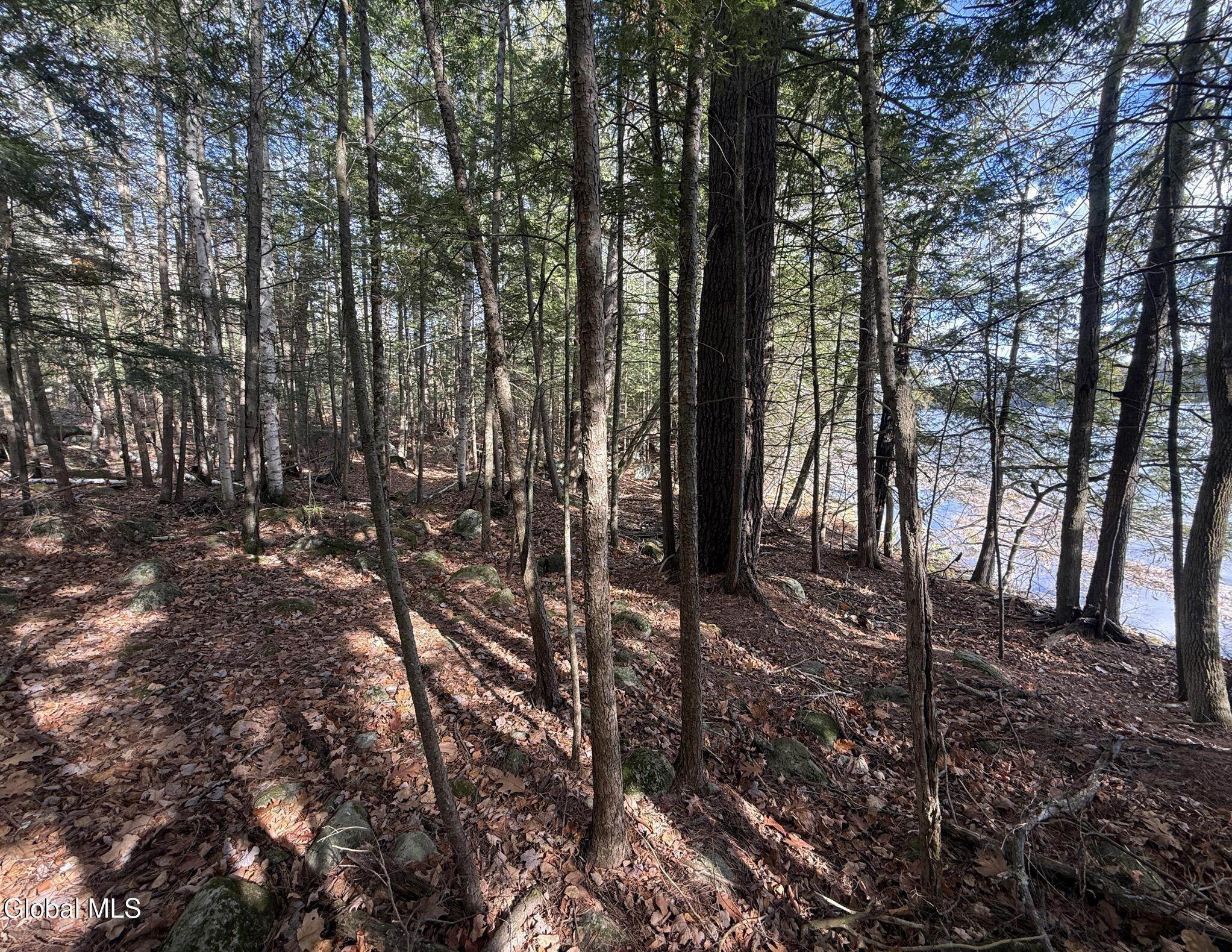 Image 4: Teds Way (10)