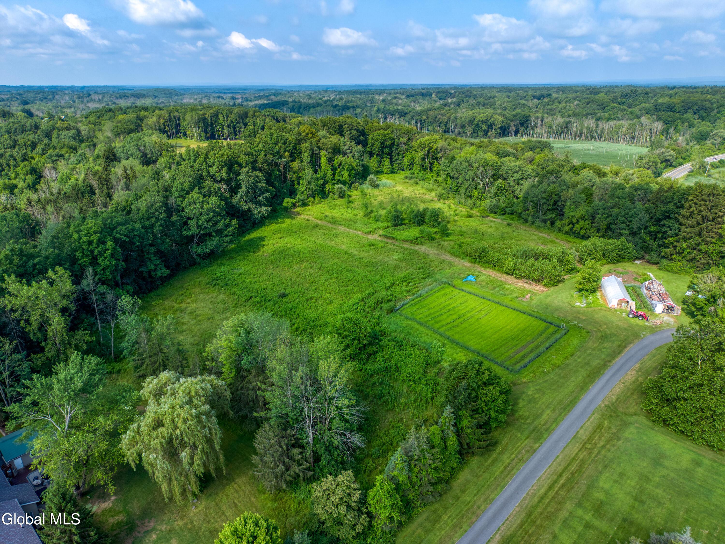 Image 4: DJI_20250715093916_0013_D (1)
