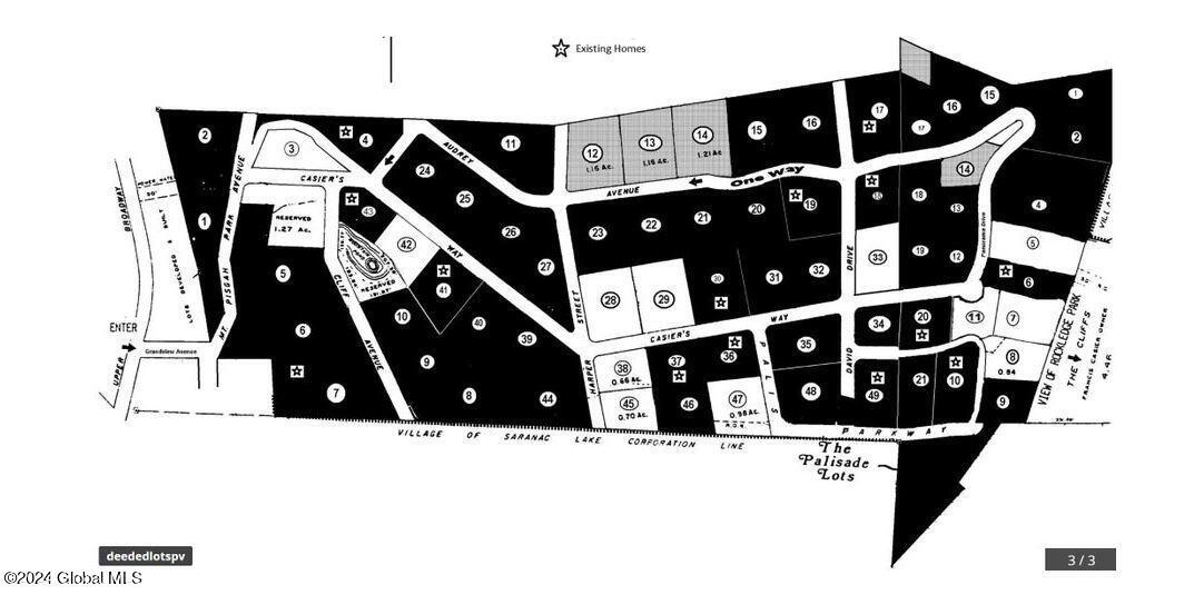 Image 3: 9 palisade 6