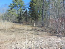 18 COLLAMER RD