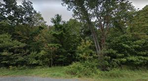 0 BURDEN LAKE Road