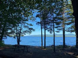 491 WHITE BIRCH Road