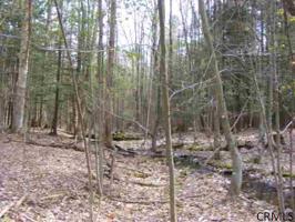 RIDGE RD