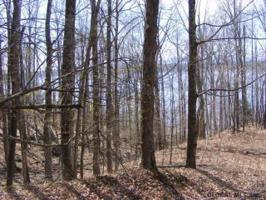 SOUTH SHORE RD