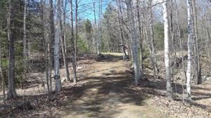 1101 FRIENDS LAKE RD