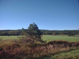00 Lot 1 COUNTY ROUTE 1