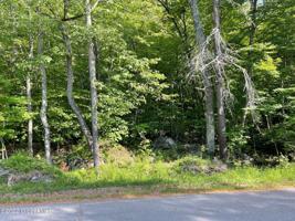 00 Palisades Road