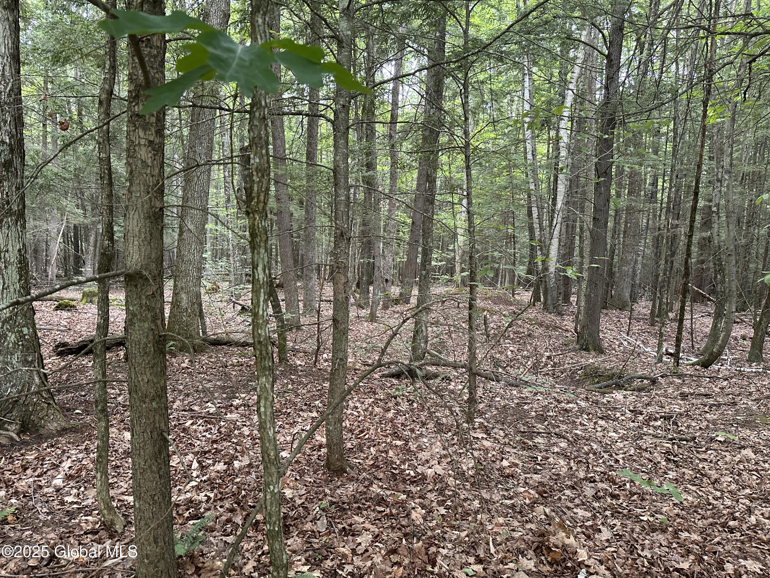 Image 3: IMG_6926