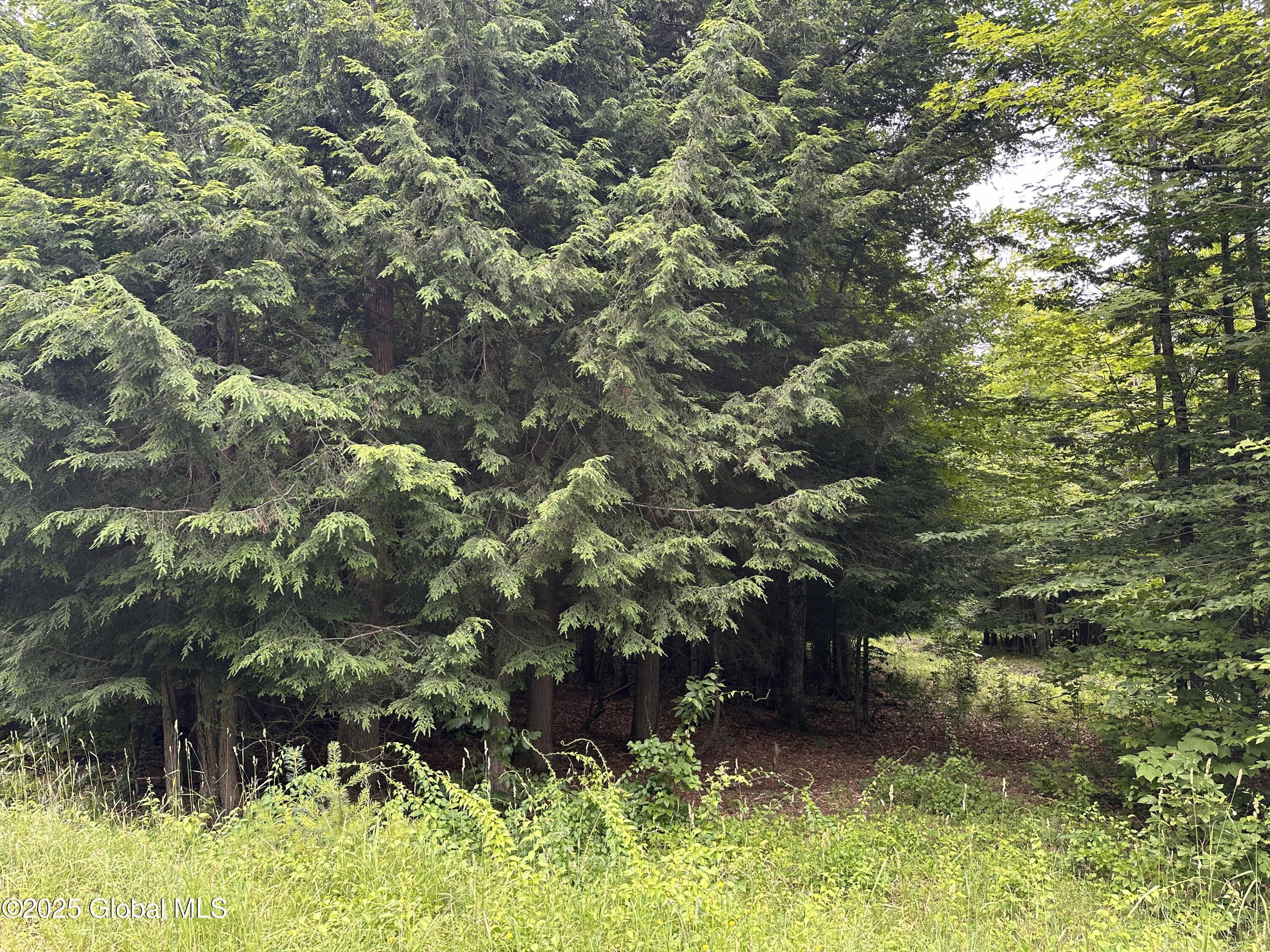 Image 4: IMG_6923