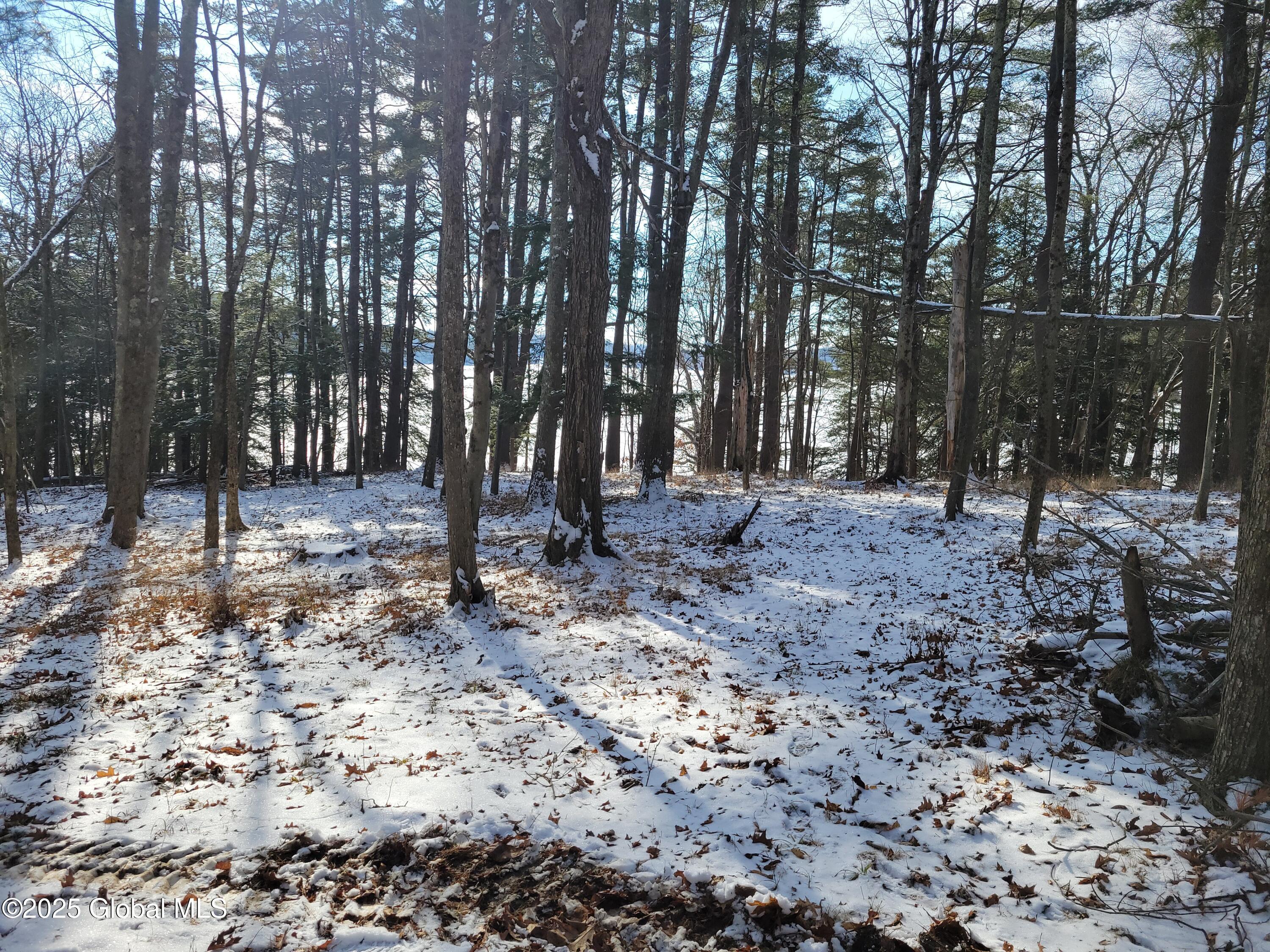 Image 4: 20250112_121514