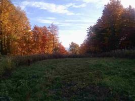 309 PETERSON RD