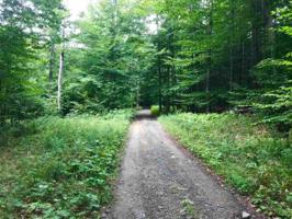 447 LAKE DESOLATION RD