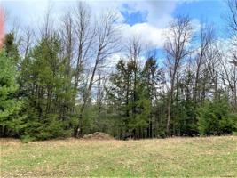 Lot#3 SPRING WOODS RD