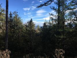 346 EDGECOMB POND Road