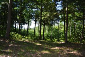 0 BROOKSIDE PKWY