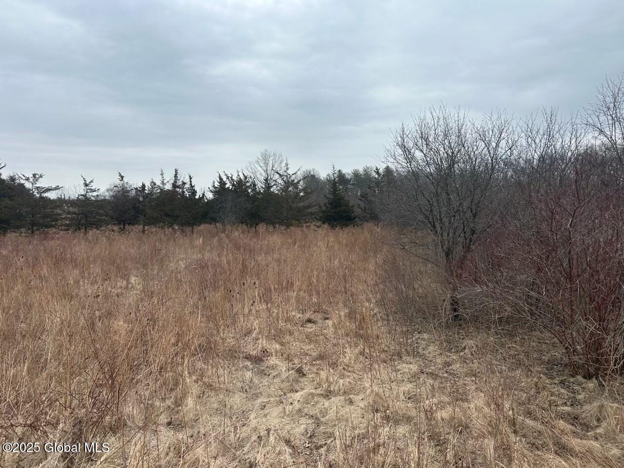 Image 1: 97 Hillside Drive, Athens, NY 12015