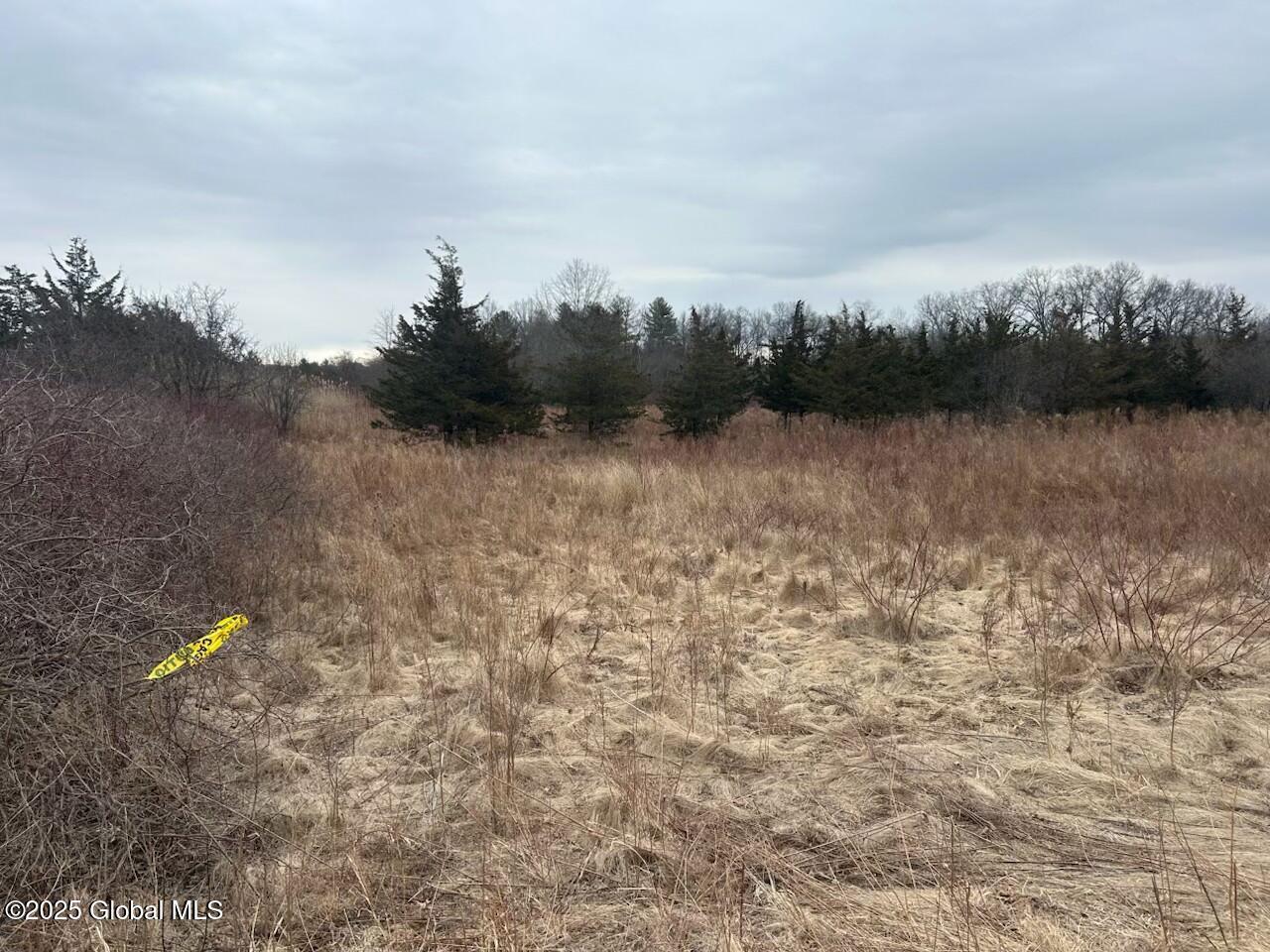 Image 2: 97 Hillside Drive, Athens, NY 12015