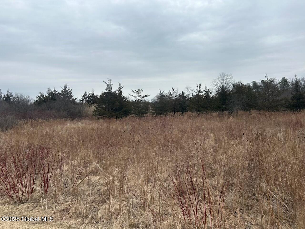 Image 4: 97 Hillside Drive, Athens, NY 12015