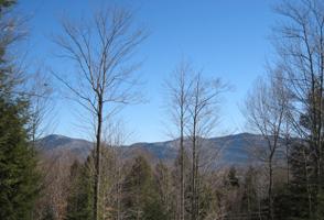 162 DIAMOND RIDGE RD
