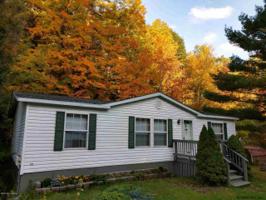 9823 GRAPHITE MOUNTAIN RD
