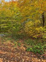 575 LAKE DESOLATION RD