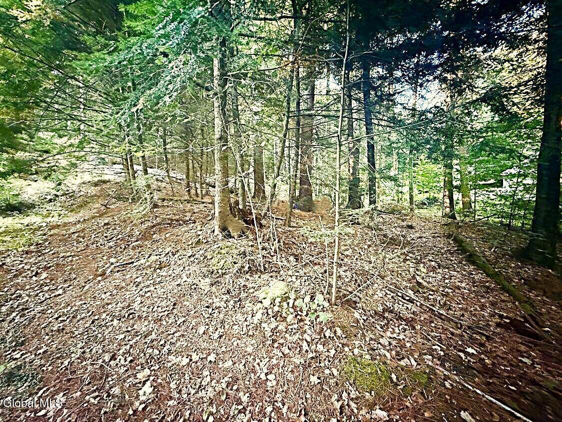 Image 1: L31 Clarkson Rd