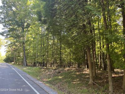 L59 Pilot Knob Road