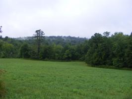 CHRISTIE RD