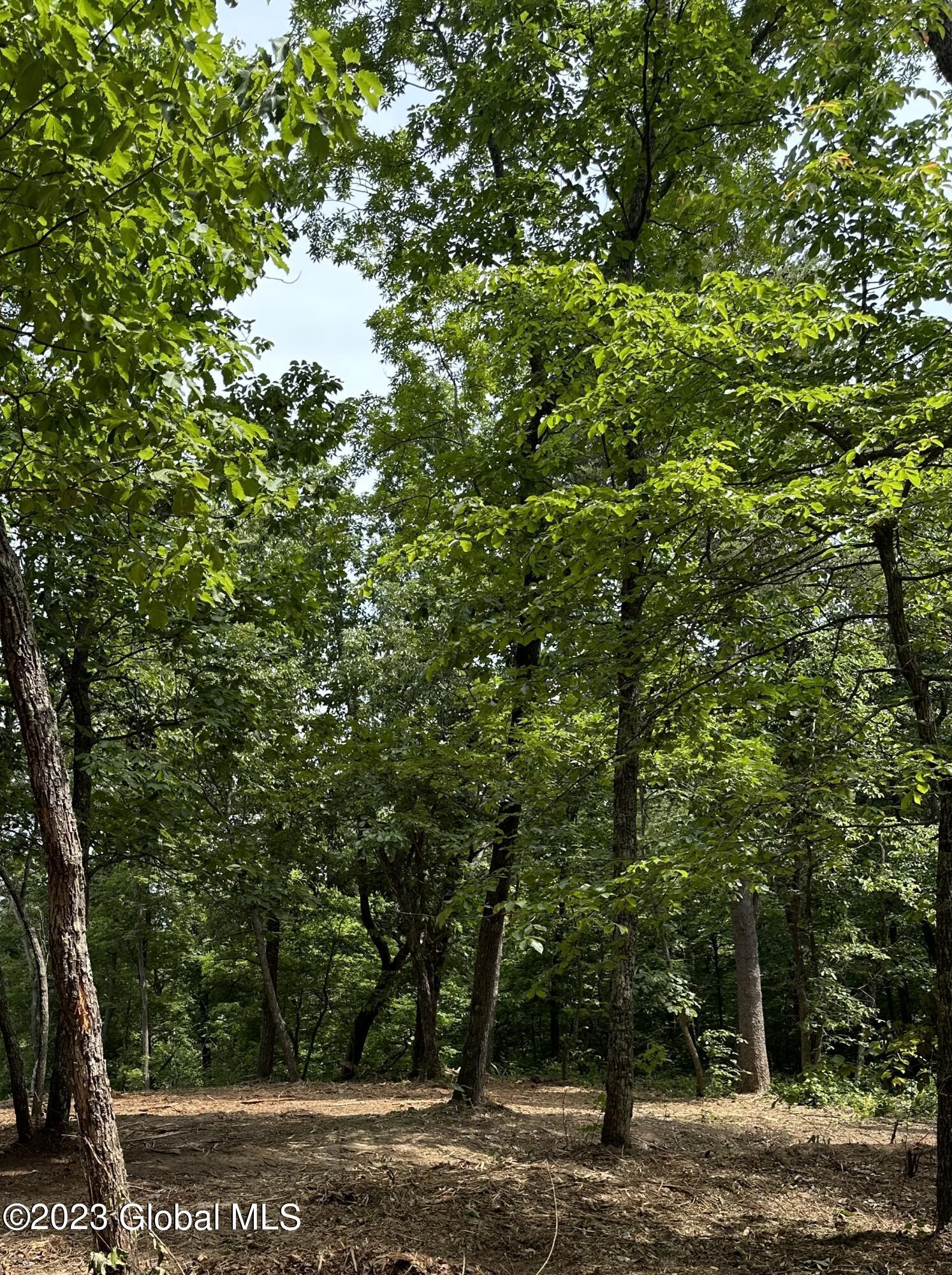 Image 1: Lot B Pic 1