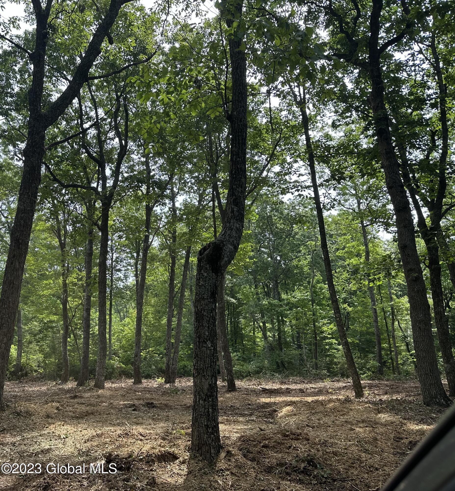 Image 2: Lot B Pic 2