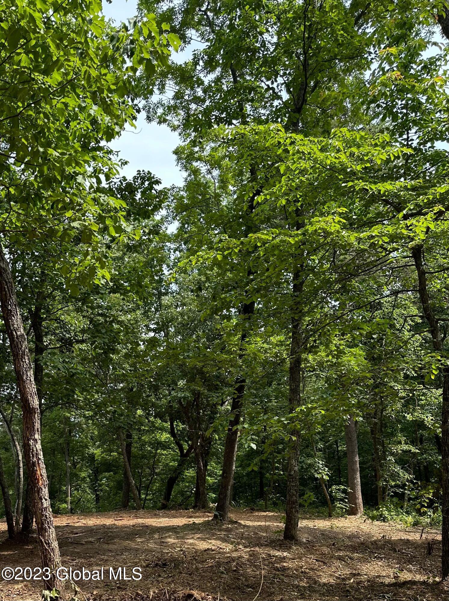 Image 4: Lot C