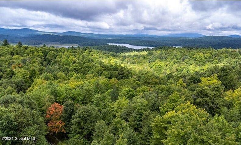 Image 2: 9 palisade 2