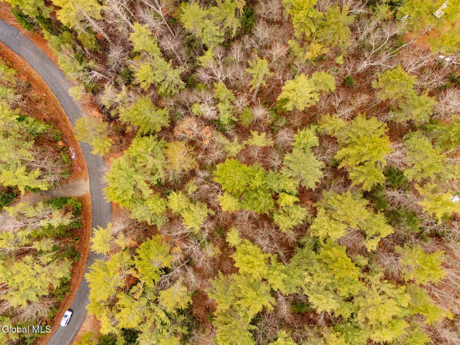 Image 3: DJI_20251116131842_0026_D