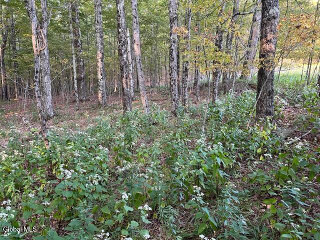 Image 3: IMG_4642 (1)