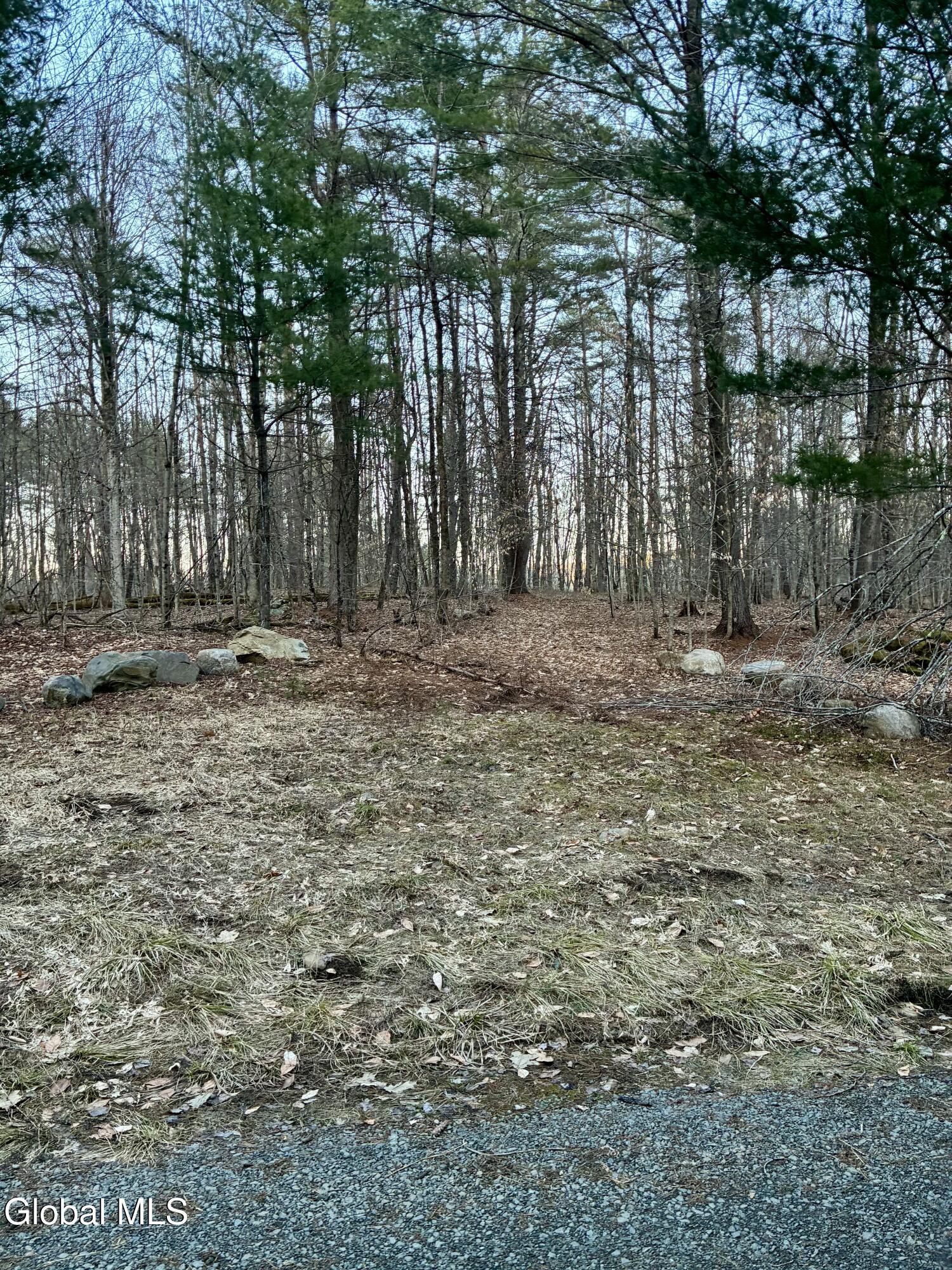 Image 3: IMG_7043