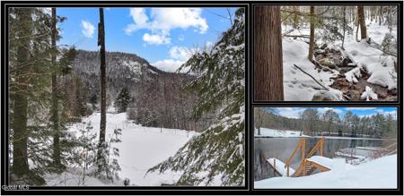 20 Brant Lake Creek Road