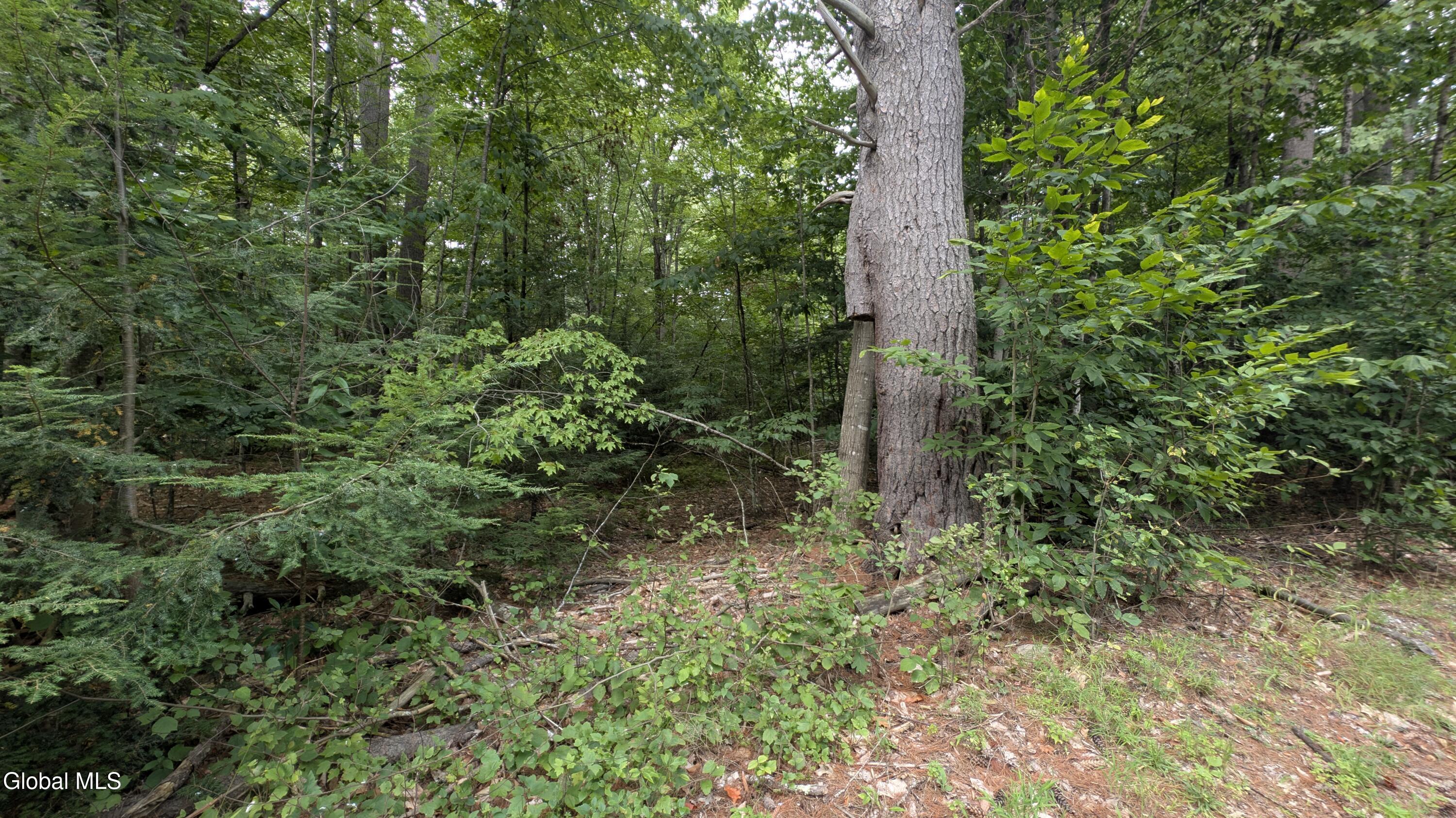 Image 2: PXL_20250814_163526126