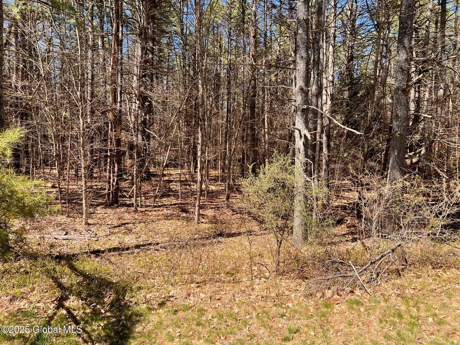 Image 3: thumbnail_IMG_7736