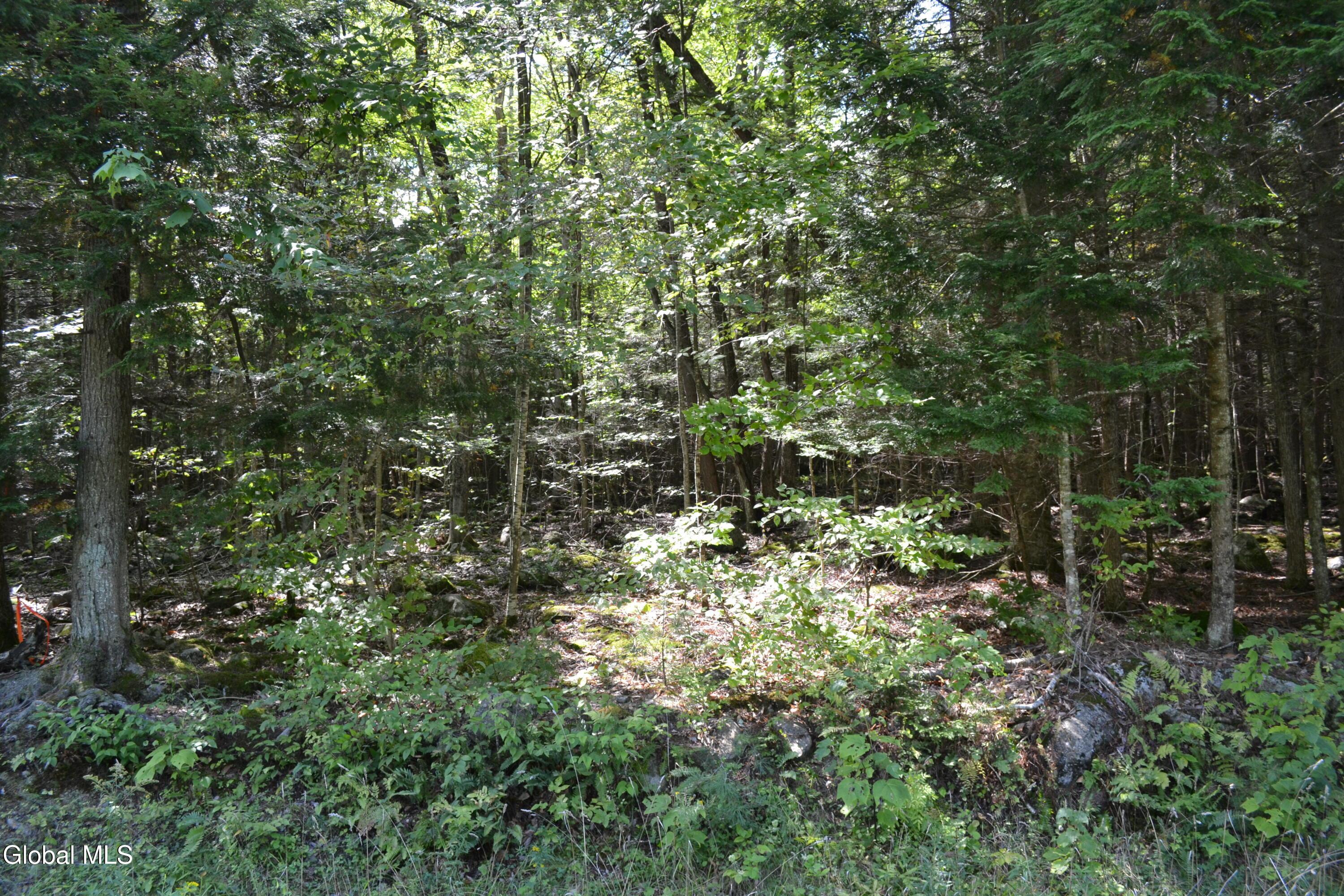 Image 4: DSC_0084