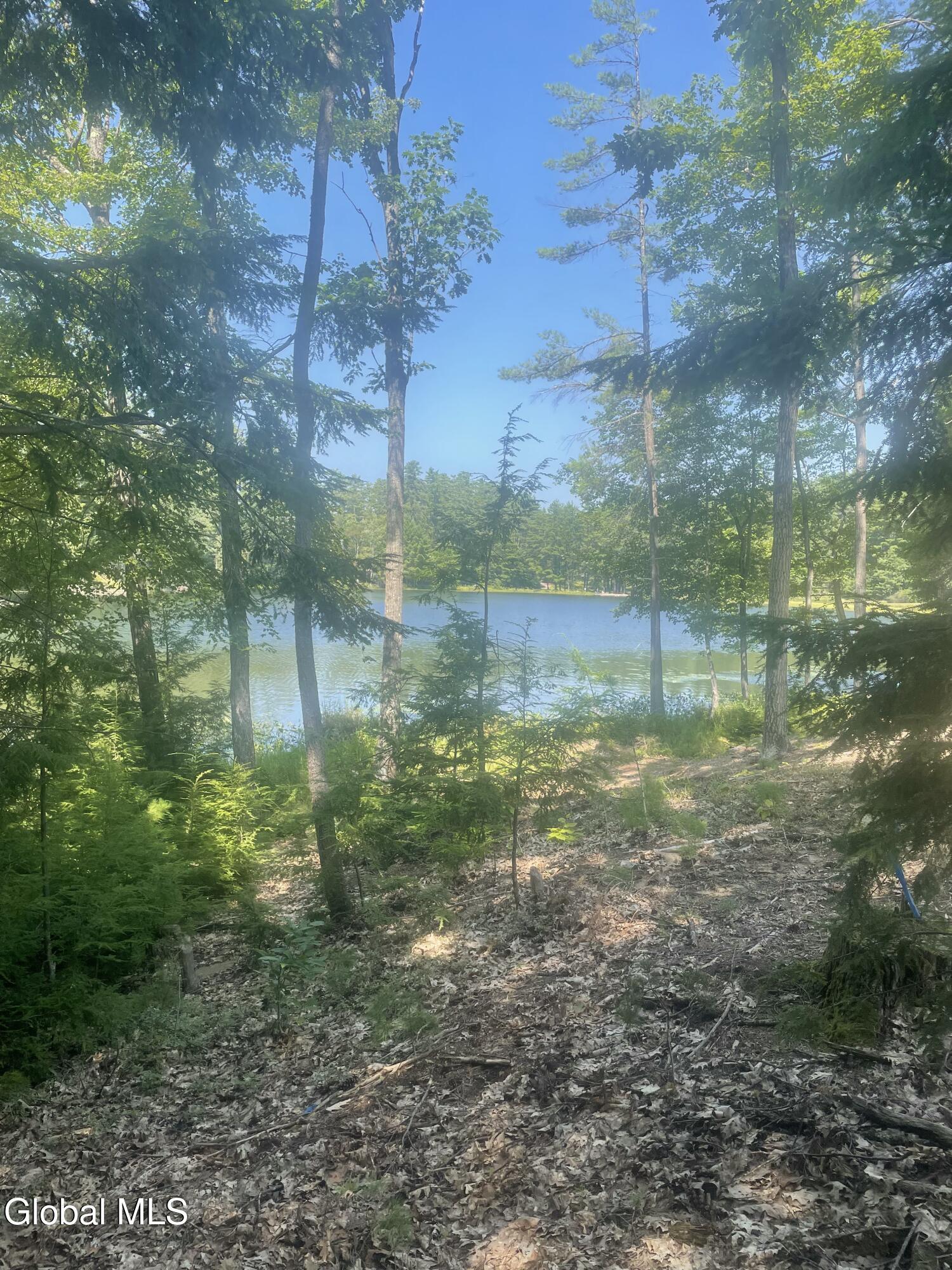 Image 1: Lot 4 Lake View