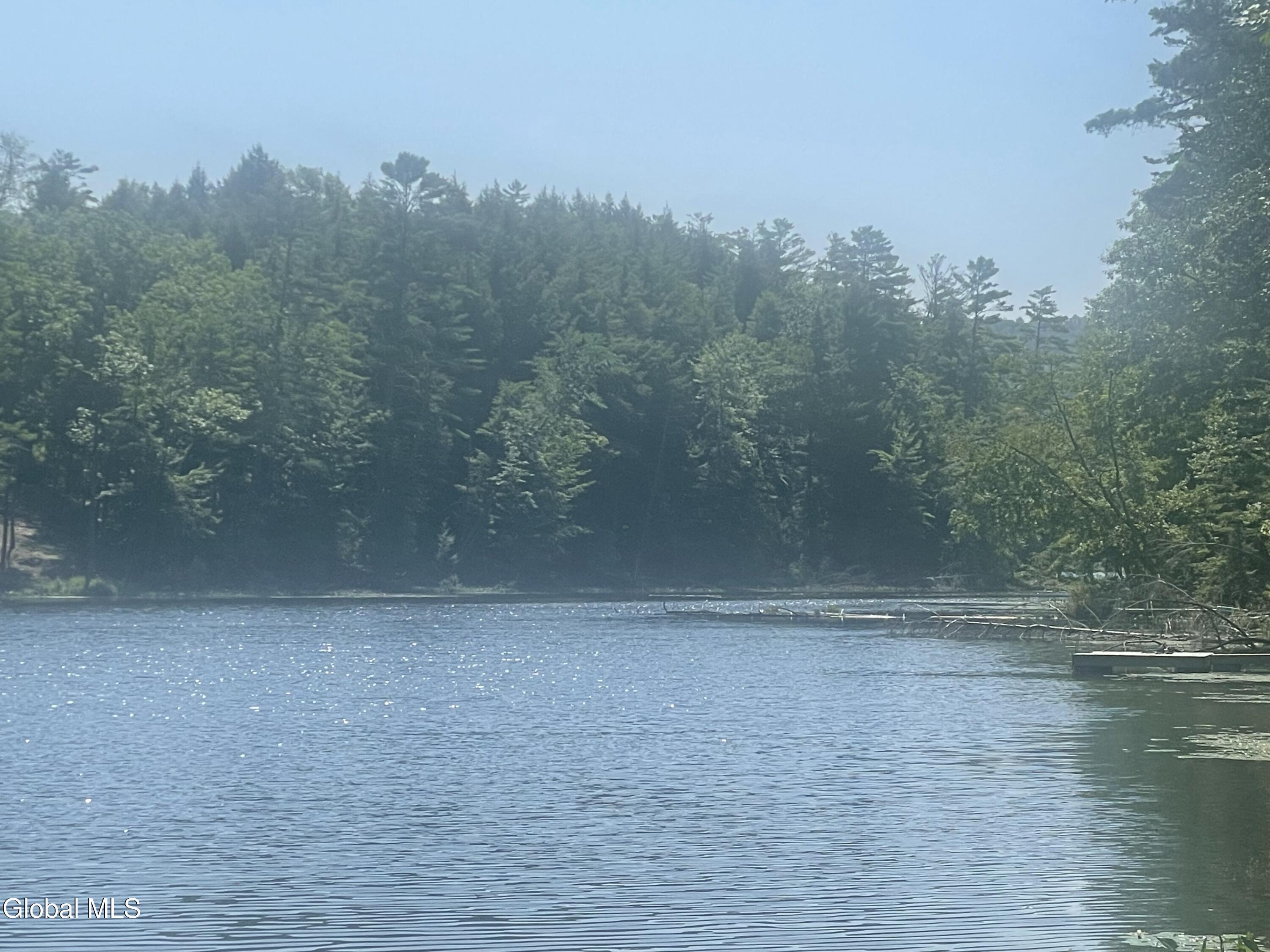 Image 4: Lot 4 frontage from Lake