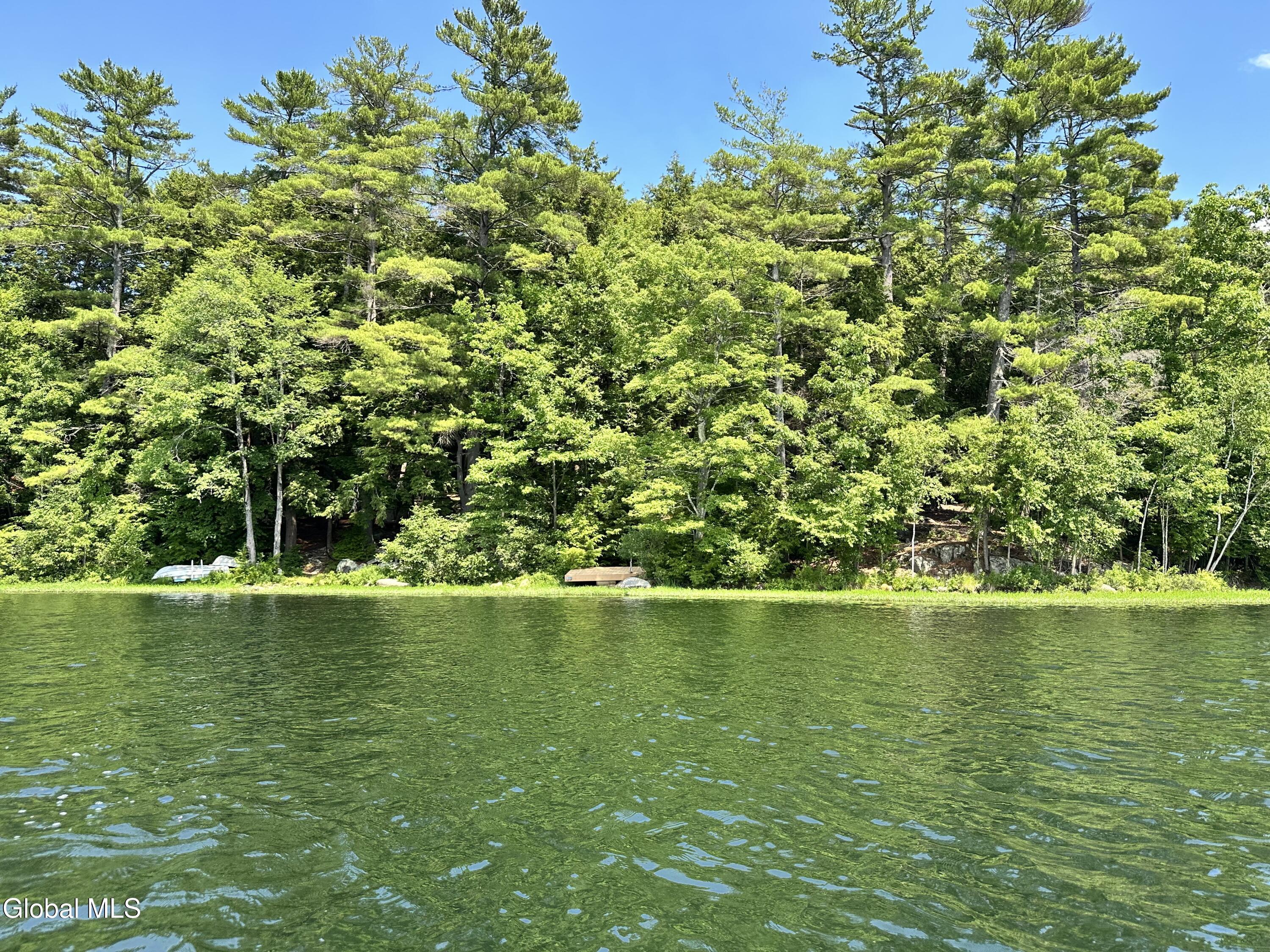 Image 3: IMG_3991