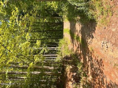 L7.41 Summit Lake Road