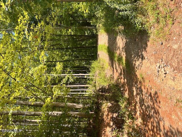 Image 1: driveway off of main rd