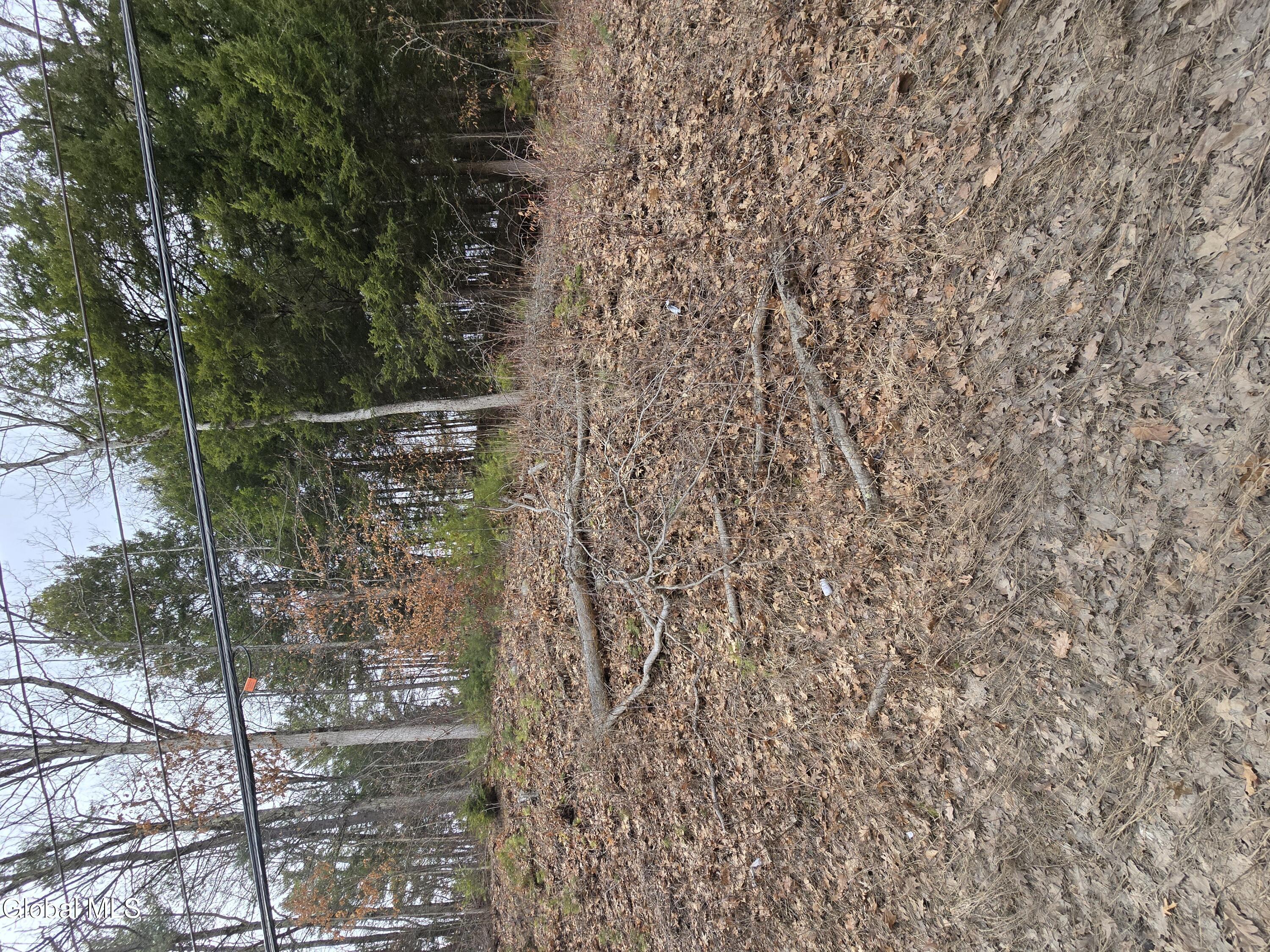 Image 1: land from road