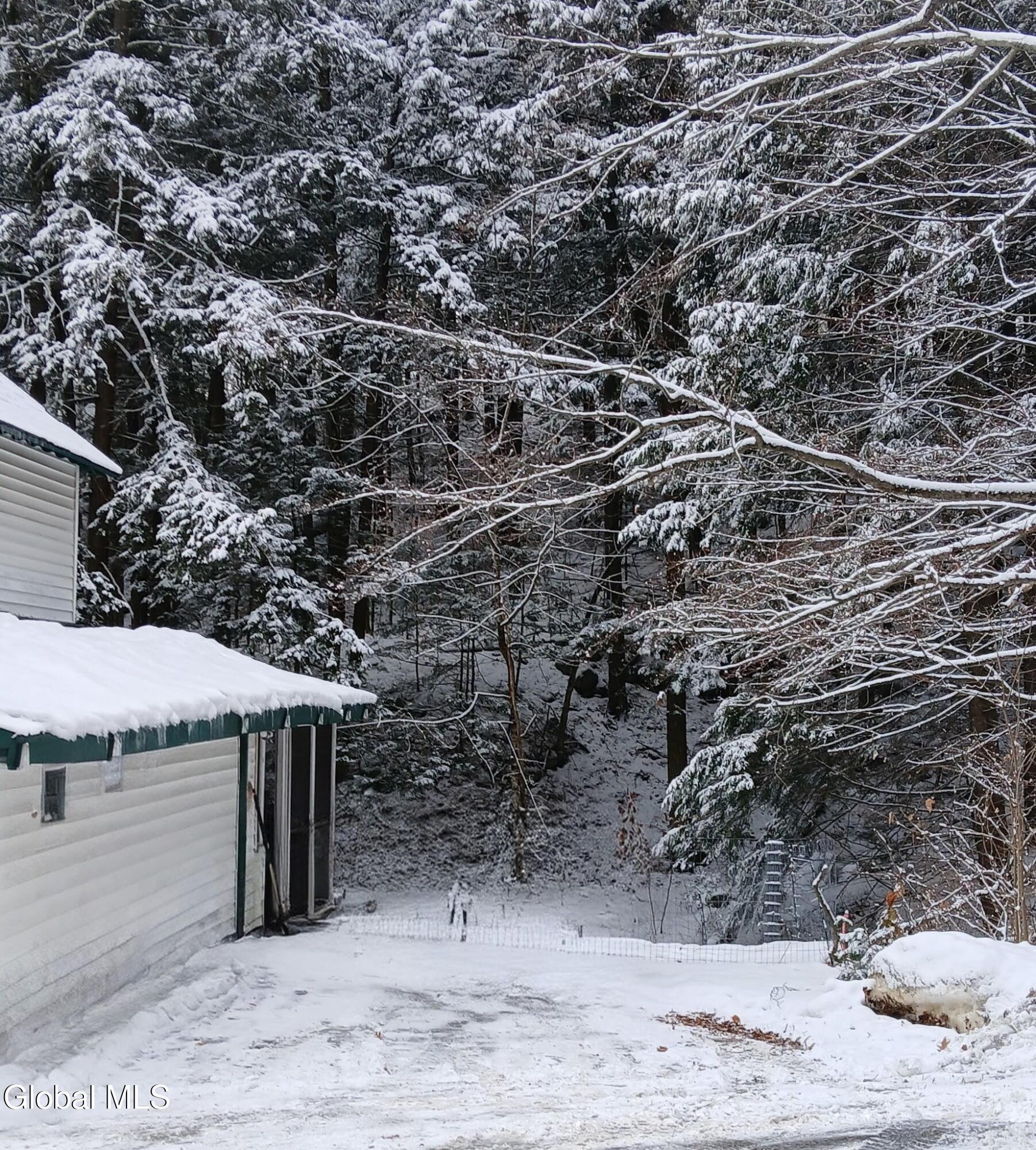 Image 4: 4891434872225008107